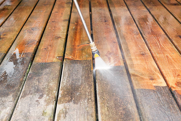 Best House Exterior Washing  in Momence, IL